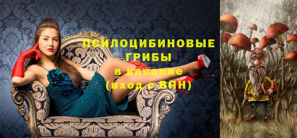 mix Армянск