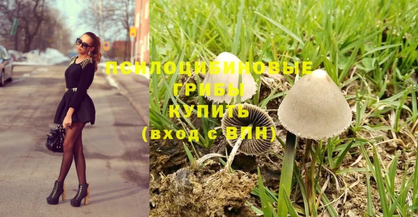 jwh Аркадак