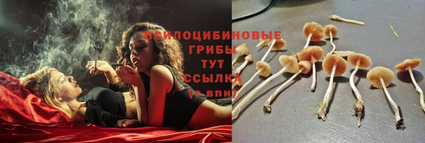 mix Армянск